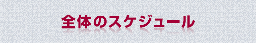 全体のスケジュール