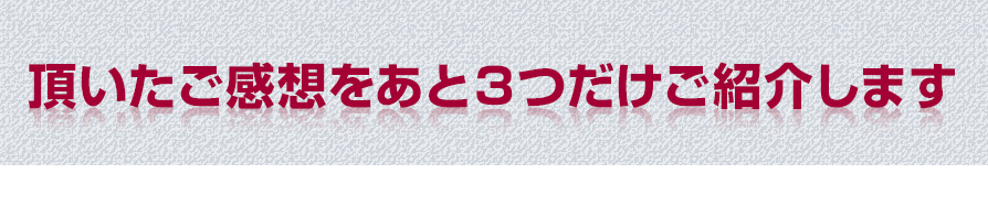 頂いたご感想をあと３つだけご紹介します